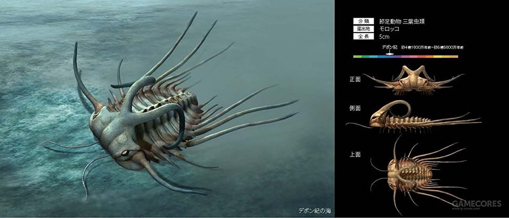 古代生物到底有多大?这本书帮你对比它们的大小