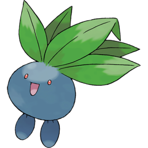 6,·