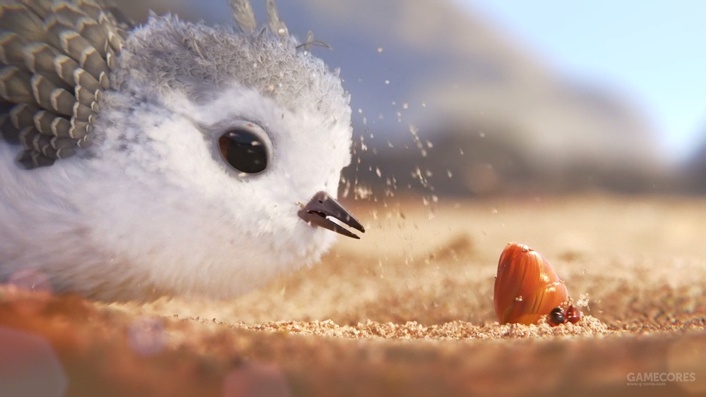 这些电影在第89届奥斯卡上获奖了