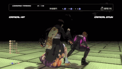 这里并不是指动作招式标不标准上,现在许多游戏都请了真人捕捉,doa只