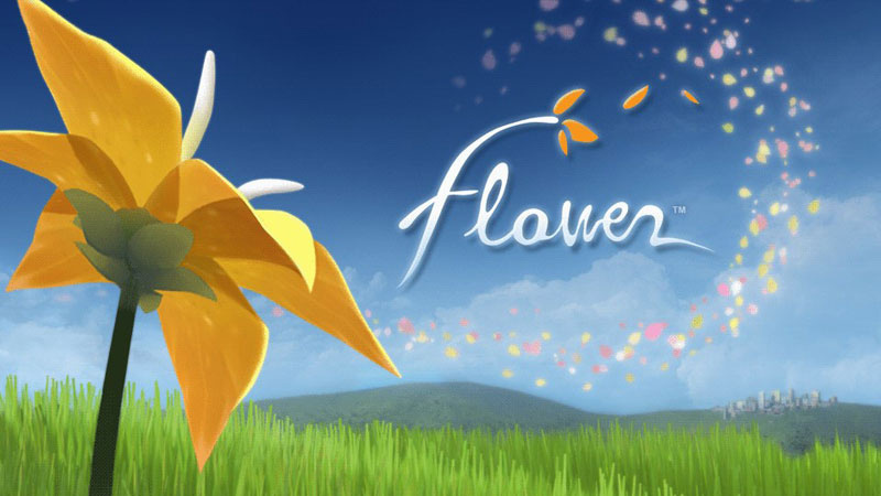 也许陈星汉借《花 与我们