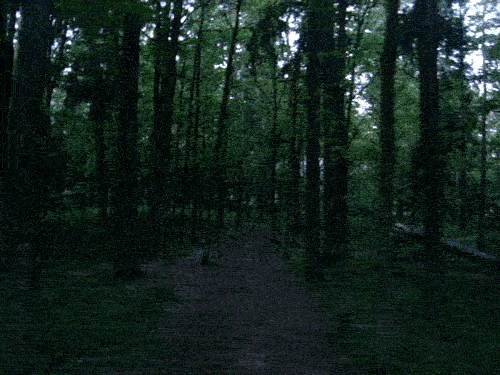 壁纸 风景 森林 桌面 500_375 gif 动态图 动图