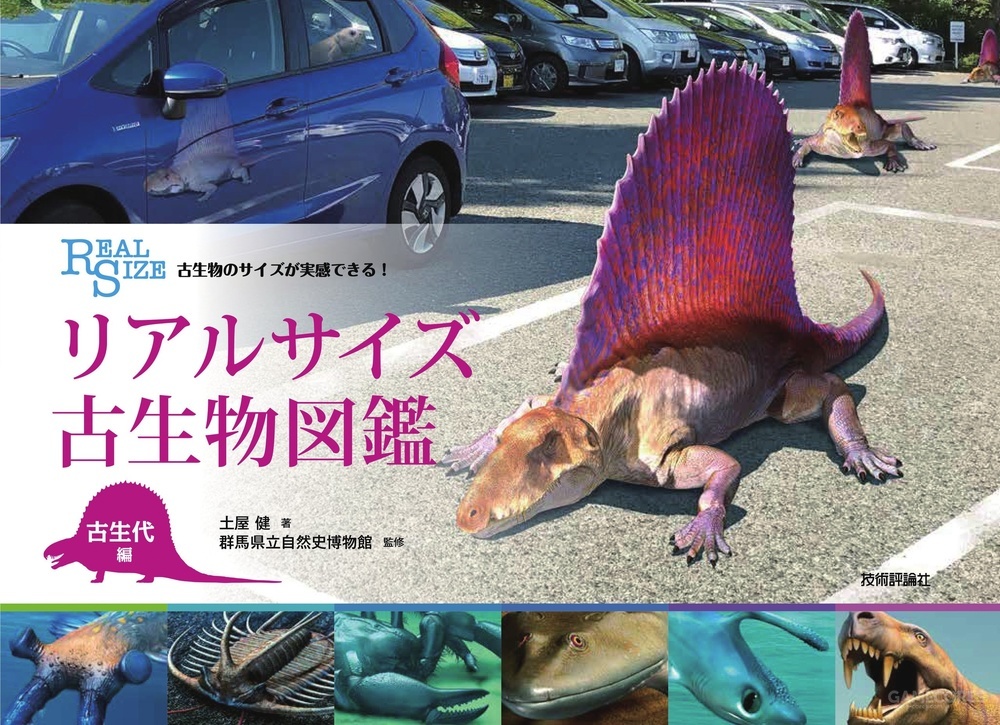 古代生物到底有多大?这本书帮你对比它们的大小