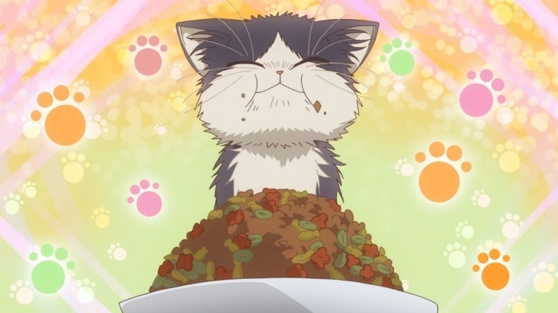 一人一猫的新生活：《同居人是猫》原作者浅谈动画化后的新感受 | 机核