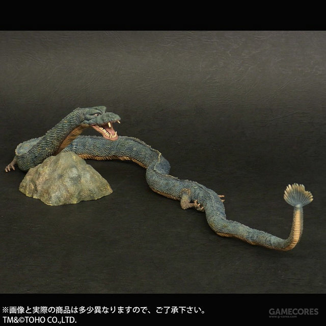 曼达:全长约46cm