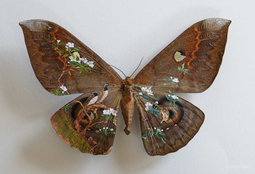 对不起,又是虫子!樋口明宏的昆虫标本艺术