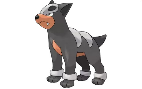 本期共出现了如下几只精灵: 催眠貘(素利普) 在11月27日也就是这周日