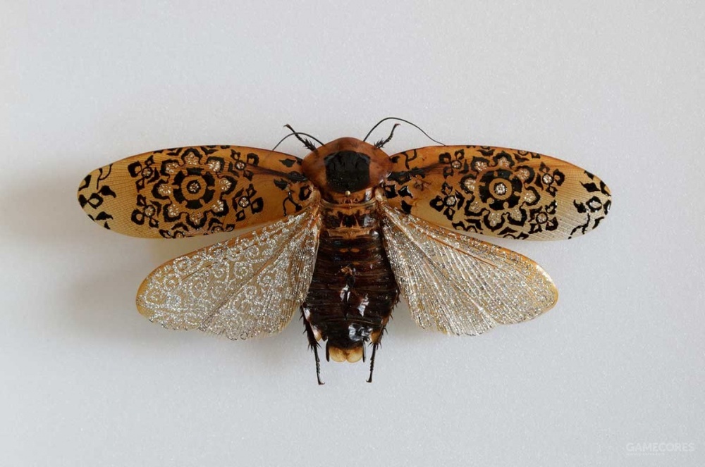 对不起,又是虫子!樋口明宏的昆虫标本艺术