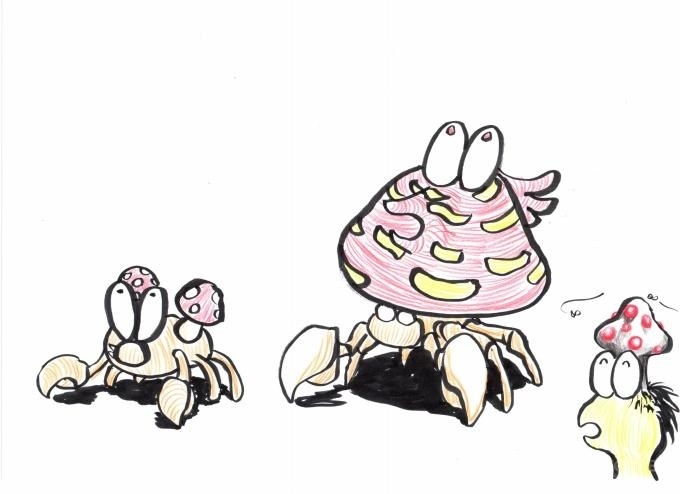 霸王花超音蝠,大嘴蝠胖丁,胖可丁六围,九尾皮皮,皮克西尼多后,尼多王