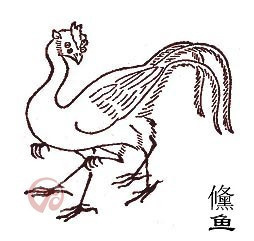 山海经怪物食用指南(北山经篇)