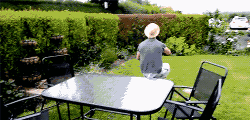 499_240gif 动态图 动图